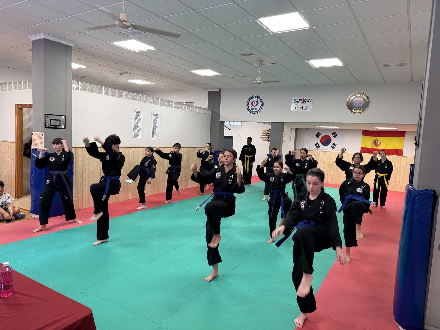 Clase infantil de Hapkido en Murcia